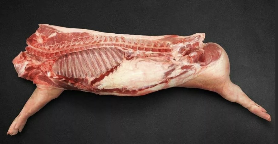  экрана 2026-02-06 в 01.56.42.png